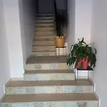 O Novo Alto Do Couso