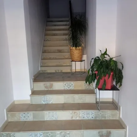 O Novo Alto Do Couso