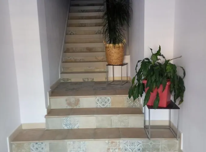 O Novo Alto Do Couso